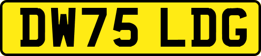 DW75LDG