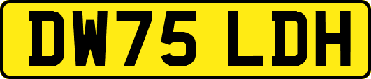 DW75LDH