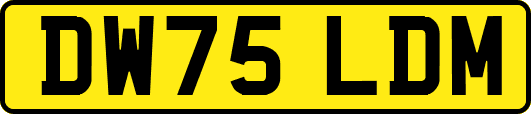DW75LDM