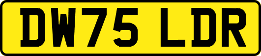 DW75LDR