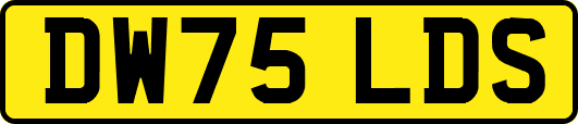 DW75LDS