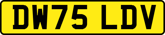 DW75LDV