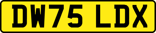 DW75LDX