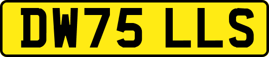 DW75LLS