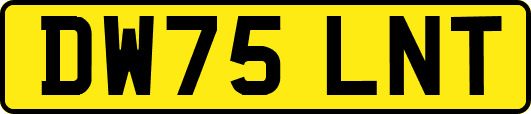 DW75LNT