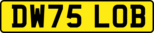 DW75LOB