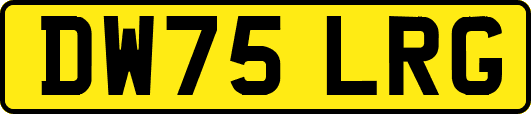 DW75LRG