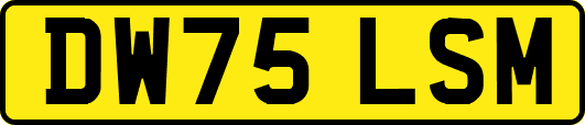 DW75LSM