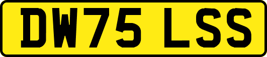DW75LSS