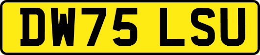 DW75LSU