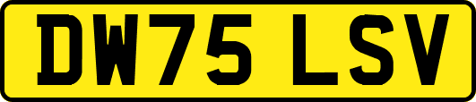 DW75LSV