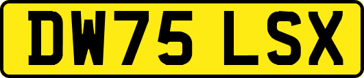 DW75LSX