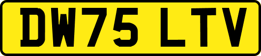 DW75LTV