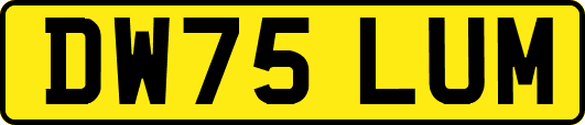 DW75LUM