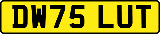 DW75LUT