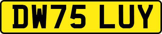 DW75LUY