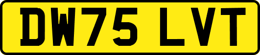 DW75LVT