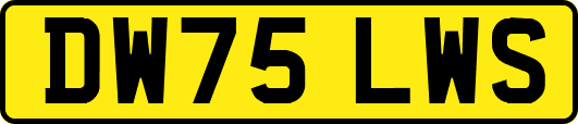 DW75LWS