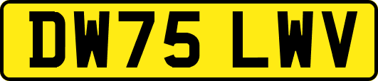 DW75LWV
