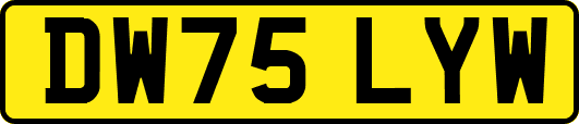 DW75LYW