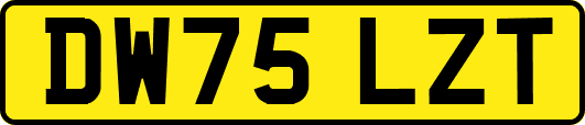 DW75LZT