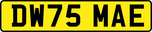 DW75MAE