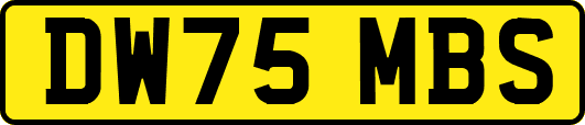 DW75MBS