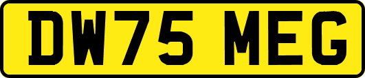 DW75MEG