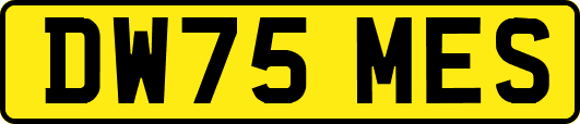 DW75MES