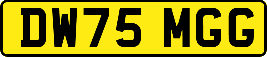 DW75MGG
