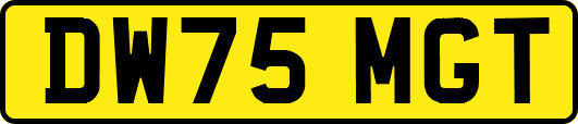 DW75MGT