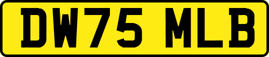 DW75MLB