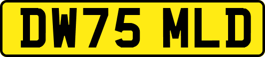 DW75MLD