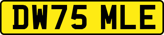 DW75MLE