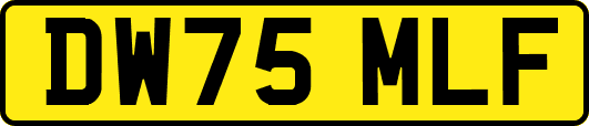 DW75MLF