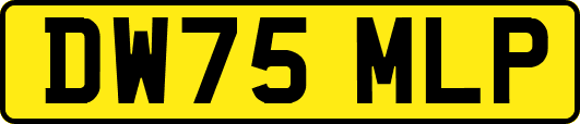 DW75MLP