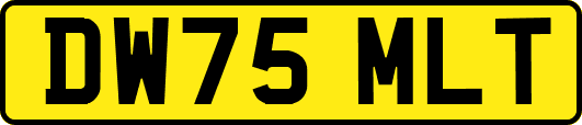 DW75MLT