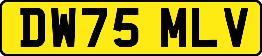 DW75MLV