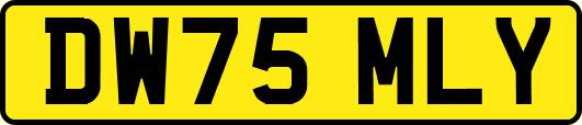 DW75MLY