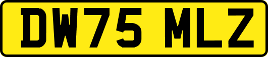 DW75MLZ