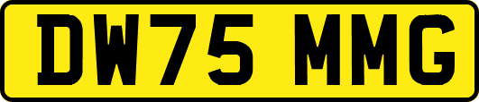 DW75MMG