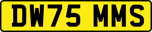 DW75MMS