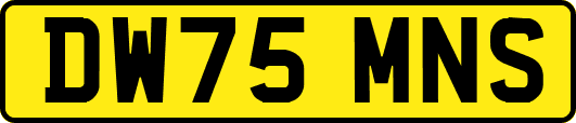 DW75MNS