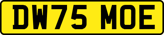 DW75MOE