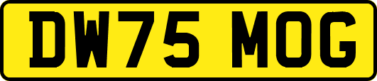 DW75MOG