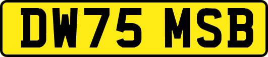 DW75MSB