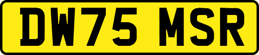 DW75MSR