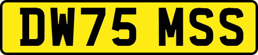 DW75MSS