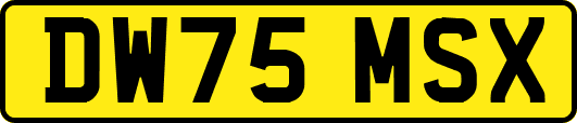 DW75MSX