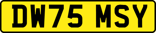 DW75MSY